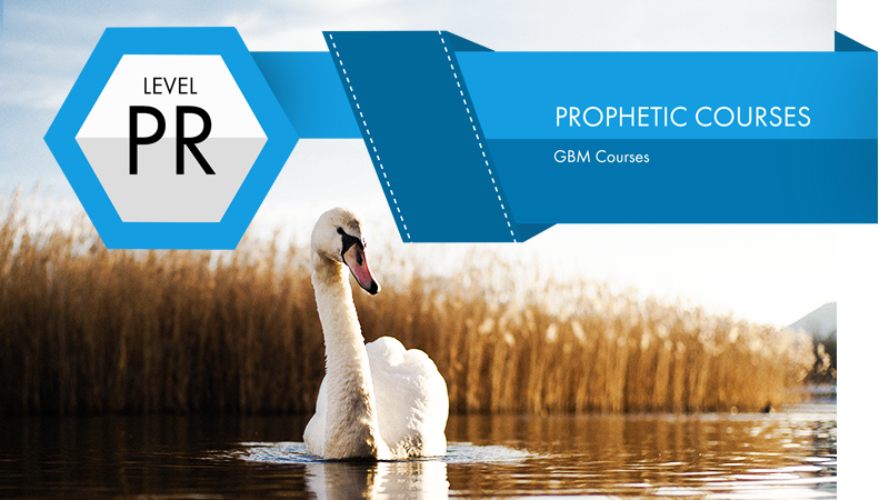 Developing Your Prophetic Ministry Course